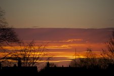 DSC_6108.jpg
