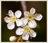 DSC_5539.jpg