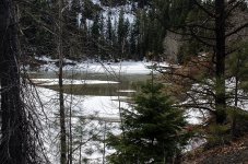 DSC_0428.jpg