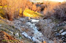 Farmington Creek at sunset.jpg