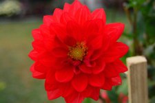 DSC_1320.jpg