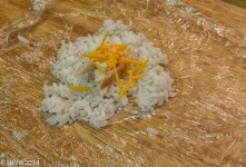 Rice Patty Filling (1 of 1).jpg