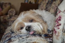 DSC_0838.jpg