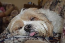 DSC_0839.jpg
