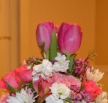 78046d1395026392-postsonpercocets-thread-ocular-delight-dsc_0796.jpg 78046d1395026392-postsonpercocets-thread-ocular-delight-dsc_0796.jpg