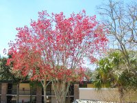 IMG_3304.jpg
