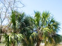 IMG_3308.jpg