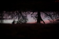 Day76-1.jpg
