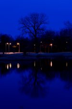 Day76-2.jpg