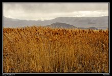 Day76Landscape.jpg