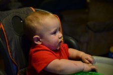 DSC_5050 (1024x683).jpg