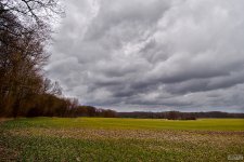dsc_3796.jpg