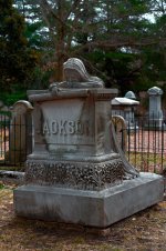 DSC_1123-20140318 (682x1024).jpg