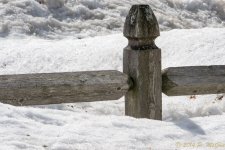 DSC_7895.JPG