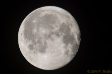 DSC_7902.JPG