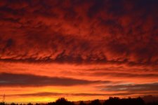 DSC_1347.jpg