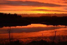 DSC_1348.jpg