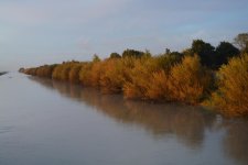 DSC_1367.jpg