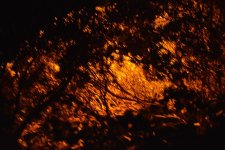 DSC_1425.jpg