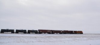 DSC_3547_01.JPG
