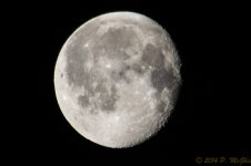 DSC_7921.JPG