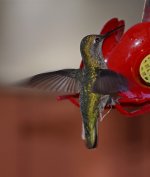 Hummer.jpg