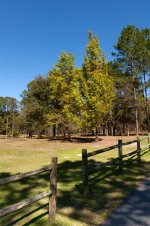 Turnbull_Park_02.jpg