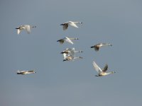 DSCN9856.jpg