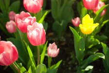 DSC_2418.jpg