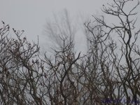 Pic19-03.jpg