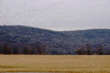 DSCN9824.jpg