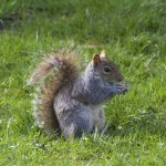 DSC_6783.jpg