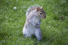 DSC_6813.jpg
