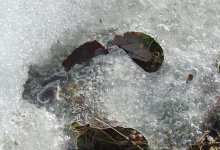 080 Ice-140321_01.jpg