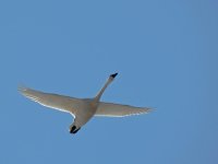 DSCN9871.jpg