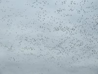 DSCN9814.jpg
