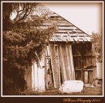 Old Out Building at the Old Victorian.jpg