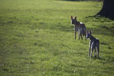 DSC_6897.jpg