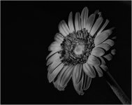ImageUploadedByTapatalkHD1395516460.535538.jpg