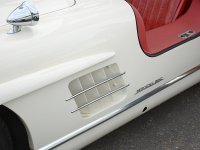 GullWing2.jpg