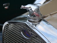 FordBird.jpg