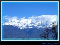 Mt. Timponogas with Utah Lake and Birds..jpg