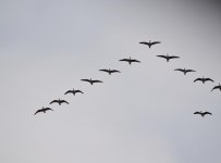 DSC_2493.jpg