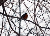 DSC_2486_01.jpg