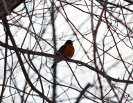 DSC_2489_01.jpg