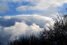 DSC_2496.jpg