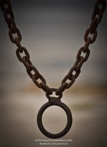 chainring-1.jpg