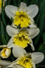 Day81-1.jpg
