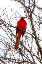 Day82-1.jpg