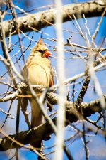 Day82-9.jpg